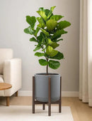 D'vine Dev Ceramic Planter with Walnut Color Stand - 12 Inch Modern Round Flower Pot with Wood Planter Holder, Grey, 55-B-W-3 by CozyNest Decor