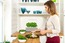 Click & Grow Smart Garden, 3 Pods Indoor Herb Growing System (3 Basil Pods Included)| Easier Than Hydroponics Growing System, Automatic Nutrients, Watering and Grow Light, Noise-free Technology, Beige by GreenHaven Gardens