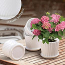 Plant Pots - 5.5 Inch Cylinder Ceramic Planters with Connected Saucer, Pots for Succuelnt and Little Snake Plants, Set of 4, White by GreenHaven Gardens