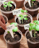 homenote Clear Nursery Pots for Plants,7 Inch Plant Pot for Planting Plastic Seedling with Drainage Holes Seed Starter Flower High Transparency with 20 Labels (15 Pack) by GreenHaven Gardens