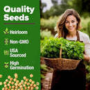 HOME GROWN Cilantro Seeds 250 Calypso & 250 Santo Cilantro for Planting Indoors, Hydroponics or Aerogarden - Heirloom, Non-GMO, Santo Plant, for Your Indoor Herb Garden by GreenHaven Gardens