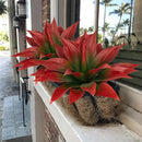 Artificial Agave Plants,Large UV Resistant Fake Agave Planters for Indoor and Outdoor Decorating Tropical Plant Succulents Greenery Indoor Decor (2Pack,18" Red) by CozyNest Decor