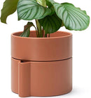 8 Inch Self-Watering Planter Pot with Terracotta Insert, Deep Water Reservoir, and Ceramic-Alike BPA-Free Plastic Planter Pot for Plant, Modern Planter for Houseplants, Terracotta, 53-A-T-3 by CozyNest Decor