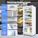 Commercial Beverage Refrigerator, 24.5 Inch 15 Cu. Ft. Drink Fridge, Display Refrigerator with Glass Door, Commercial Display Fridge with 5 Adjustable Shelves, for Shops, Restaurants, Bars by CozyNest Decor