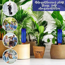 3 Sets Plant Watering Devices Terracotta 26 oz Self Watering Spikes Plastic Wine Bottles Slow Release Vacation Insert Automatic Plant Pot Waterer Device for Indoor Outdoor Garden by GreenHaven Gardens