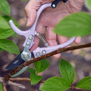 Modern Sprout Hand Pruners - Lightweight Pruning Shears W/Easy Lock- Gardening Scissors - Bypass Sharp Carbon Steel Blade - Rust Resistant - Garden Tools - Reusable Holster - Lavender by GreenHaven Gardens