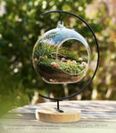 15-Piece Terrarium Kit with Live Moss – DIY Glass Globe Set with Tools, Soil, Stones & Spray Bottle – Indoor Mini Garden Gift for Plant Lovers, Home Decor & Zen Craft by CozyNest Decor