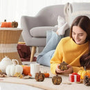 naturevibe 4.3 Inches Elegant Feathered Pumpkin Decor Set of 4 for Thanksgiving Decorations, Natural Feather Pumpkins as Fall Home Decor,Centerpieces for Tables or Autumn Harvest Gifts by CozyNest Decor