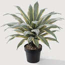 SUNPRAIRIE 32 Inch Tall Large Faux Agave Plant with Two-Tone Sawtooth Edged Leaves; Planted in Black Pot with Real Stone Pebbles. Large Artificial Plants Indoor and Outdoor. by GreenHaven Gardens