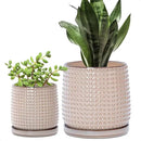 D'vine Dev 6 Inch 4 Inch Ceramic Indoor Planter Pots with Drainage Hole and Saucer, Beaded Design Flower Pots, Set of 2, Light Brown, 27-D-U-4 by GreenHaven Gardens