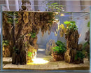 Dragon Rocks Aquariums Stones Natural Rocks for Aquascaping, Aquariums, Terrariums, Vivariums Decorative Stone,Reptile Enclosures,Paludariums,and Gardens-10LB（2 to 7 inch） by CozyNest Decor