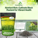 Outsidepride Black Mustard Seeds - 10000 Pcs Nutrient-Rich, Flavorful Annual Microgreen Seeds for Planting, Easy-to-Grow, Ideal for Indoor & Outdoor Cultivation, Soil & Hydroponic Systems by GreenHaven Gardens