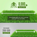 Turf Titan Lawn Striper - Iron & Nitrogen Fertilizer to Promote Dark-Green, Stripe-Defined Turfs - Kids & Pet Safe, Natural Lawn Fertilizer - Stunning Green Grass Fertilizer - Covers up to 8,000 Sq Ft by GreenHaven Gardens