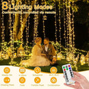 Ollny Christmas Lights Outdoor 400LED 131FT, Warm White Fairy Lights with Remote 3 Timer, Plug in 8 Modes String Lights for Bedroom Indoor Outside House Party Xmas Decorations by GreenHaven Gardens