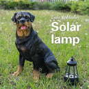 Notakia Resin Dog Rottweiler Statues and Sculptures with Solar Led Home Garden Decoration Windproof Lamp Outdoor Lighting Decor (Rottweiler &LED) by GreenHaven Gardens