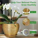 Ceramic Planter 10 Inch - Indoor Plant Pot with Drainage Hole and Saucer Large Decorative Planter Mid-Century Modern Flower Pot Outdoor for Home Decor Gold by GreenHaven Gardens
