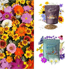 Wildflower Seeds Collection - 500,000+ Bulk Seeds - 6 Different Mixes Including Hummingbird & Butterfly, Save The Monarchs, Save The Bees, Shaded Woodland, Rocky Mountain, & Dryland Pollinator by GreenHaven Gardens