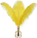 THARAHT Yellow Ostrich Feathers 12pcs Large Natural Bulk 16-18Inch 40cm-45cm for Wedding Party Centerpieces Easter Gatsbi and Home Decoration Feathers by CozyNest Decor