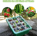 5 Packs Seed Starter Tray, 60 Cells Seed Starter Kit with Humidity Dome Seed Starting Trays Plant Starter Kit and Base Mini Greenhouse Germination Kit for Seeds Growing Starting by GreenHaven Gardens