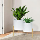 ARNIS Modern Plant Pots, Set of 2 Round Large Planters with Stand, Large Size Metal Pots with Drainage Holes for Living Room, Office, Garden or Balcony, 10.5 &12.25 Inch, White & Gold by CozyNest Decor