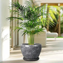8 Inch Plant Pot - Ceramic Planter Pot with Drainage Hole and Saucer, Glaze Garden Pot Modern Flower Pot for Indoor Plants, Gray by GreenHaven Gardens
