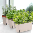 Amazing Creation Window Herb Planter Box, Vibrant Window Herb Garden, Self-Watering Rectangular Planter for Kitchen, Plants, and Succulents - Set of 3 by GreenHaven Gardens