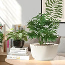 T4U 10 Inch Self Watering Pots for Indoor Plants, Plastic Plant Pots with Drainage Hole, Large Flower Pots for Indoor Outdoor Plants Cactus, Garden, Set of 2, White by GreenHaven Gardens