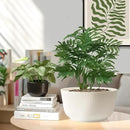 T4U Plant Pots 8 Inch, 2 Pack Self Watering Indoor Planter with Drainage Hole, Shallow Plant Pot, Home Decor Flower Pots for Plants, Herbs, Garden, White by GreenHaven Gardens