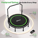 BCAN 40"/48" Mini Rebounder Trampoline for Adults with Bar, 450/550LBS Fitness Trampoline with Bungees, Adjustable Handle, Stable & Quiet, Indoor Outdoor, Whole-Body Workout & Relaxation at Home by TinyTreasures Baby Boutique