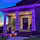 JMEXSUSS Purple Christmas Lights Indoor Outdoor Clear Wire, 66ft 200 LED Purple Lights for Christmas Tree, 8 Modes Purple String Lights Plug in for Christmas Bedroom Garden Party Xmas Decorations by GreenHaven Gardens