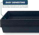 10 Plant Growing Trays (No Drain Holes) - 20" x 10" - Perfect Garden Seed Starter Grow Trays: for Seedlings, Indoor Gardening, Growing Microgreens, Wheatgrass & More - Soil or Hydroponic by GreenHaven Gardens