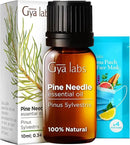 Gya Labs Pine Essential Oils for Diffuser - 0.34 Fl Oz - 100% Pure Natural Fall Pine Oil for Skin, Body Massages & Candle Making Scent by CozyNest Decor