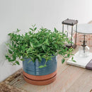 8 Inch Pots for Plants, Ceramic Planter Pot with Drainage Hole & Saucer, Indoor/Outdoor Cylinder Round Planter Pot, Blue & Terracotta by CozyNest Decor