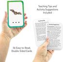 Teacher Created Resources Decoding CVC Words Flash Cards (EP62057), Medium by TinyTreasures Baby Boutique