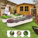 Galvanized Raised Garden Bed - 8x2x1FT Metal Planter Boxes Outdoor | Oval Steel Raised Bed Kit for Gardening with Protective Tape, Bracing Rods, Gloves for Vegetables, Flower, Herb (White) by GreenHaven Gardens
