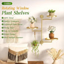 3-Tier Rotating Metal Window Plant Shelves Hanger, Wall-Mounted Gold Holder, Floating Shelf for Indoor Pots up to 6", Home Décor Gift for Plant Lovers by GreenHaven Gardens