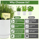 Indoor Garden Kit - Plant Pots with Drainage, Watering Can & Tools - Ideal Windowsill Planter Set - Modern Home & Kitchen Decor Gift - White