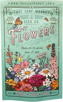 Wildflower Bulk, Southeastern Flower, 1 Lb. 640,000+ Seeds, Annual & Perennial Flowers with Native Southeastern Blooms, Pollinator Flower by GreenHaven Gardens