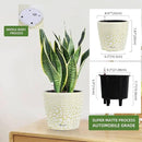 Dexceder 9x8 Inches Self Watering Planter Indoor Outdoor, Inner Pot Design, Thickened Table Flower Plant Pot with Water Level Indicator (White Gold Crackle) by GreenHaven Gardens