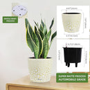 Dexceder 9x8 Inches Self Watering Planter Indoor Outdoor, Inner Pot Design, Thickened Table Flower Plant Pot with Water Level Indicator (White Gold Crackle) by CozyNest Decor