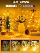 btfarm 4 Pack Fairy Lights Battery Operated with Timer, 16.4 FT 50 LED Twinkle String Lights 8 Modes Dimmable Waterproof Silver Wire for Indoor Bedroom Christmas Party Wedding Decorations, Warm White by CozyNest Decor