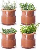 Phoenix Vine 4 Inch Self Watering Plants Pot, Design Terracotta Pot for Plants, Indoor Cylinder Terra Cotta Planter with Glass Vase, Set of 4, 51-A-E-4 by GreenHaven Gardens