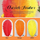 THARAHT Red Orange Yellow Ostrich Feathers 24pcs Natural Bulk 8-10Inch 20cm-25cm for Crafts Wedding Party Centerpieces Halloween and Home Decoration Feathers by CozyNest Decor