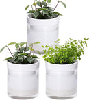 Phoenix Vine 4 Inch Self Watering Planter, White Terracotta Clay Pot with Glass Reservoir for Indoor Plants, Herbs, Flowers, Set of 3, 52-B-E-3 by GreenHaven Gardens