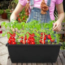 12Pcs 17Inches Rectangle Planter Box with Drainage Holes and Trays Plastic Planters Flower Boxes Pots for Indoor Outdoor Plants Patio Garden Home Decor Porch Yard (Red) by GreenHaven Gardens