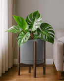 D'vine Dev Ceramic Planter with Walnut Color Stand - 12 Inch Modern Round Flower Pot with Wood Planter Holder, Grey, 55-B-W-3 by CozyNest Decor