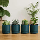 D'vine Dev Set of 4 Small Ceramic Plant Pots, 3.5 Inch Succulent Planter Pot for Plants with Drainage Hole and Saucer, Teal, 94-X-A-9 by GreenHaven Gardens