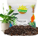 Aroid Plant Potting Soil Mix (8 Quarts), for Pothos Devil's Ivy, ZZ Plant, Chinese Evergreen, Dumb Cane, Philodendron, Syngonium, Alocasia, Colocasia Etc. by GreenHaven Gardens