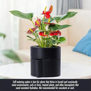 Phoenix Vine 6.5 Inch Self-Watering Planter Pot with Terracotta Insert, Deep Water Reservoir, and Ceramic-Alike BPA-Free Plastic Planter Pot for Plant, Modern Planter for Houseplants, Black, 53-A-S-2 by CozyNest Decor