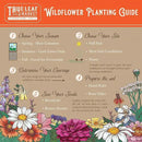 Wildflower Seeds Bulk, 2 Oz. 80,000+ Seeds – Butterfly & Hummingbird Mix with 23 Non-GMO Varieties – Pollinator Flower Seed for Planting by GreenHaven Gardens